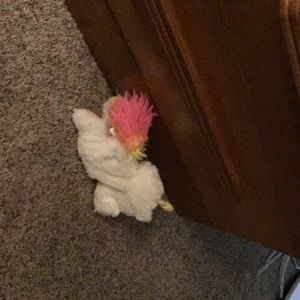 Meet your Posher, Pam